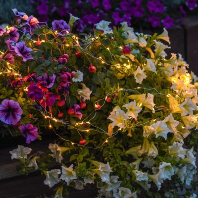 Dekoratyvines-lemputes-vielutes-micro-stalo-dekoracija-I456-06-3