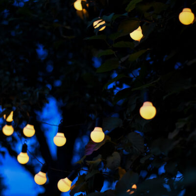 LED-Lempuciu-girlianda_HOOKY-sodui-augalams-476-13-2