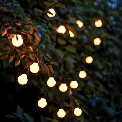 LED-Lempuciu-girlianda_HOOKY-sodui-augalams-476-13-3