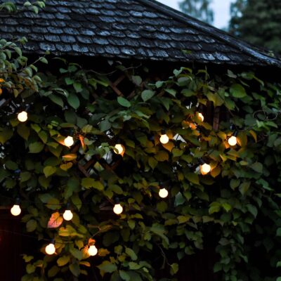 LED-Lempuciu-girlianda_HOOKY-sodui-augalams-476-13-4