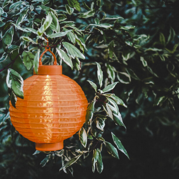 Sodo-zibintas-saules-baterija-479-18-1-2-2