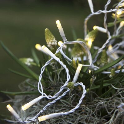 LED-varvekliu-girlianda_495-14,495-84_MB_001