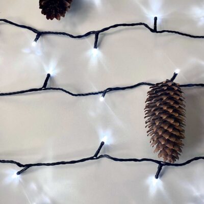 kaledines_LED_girliandos_1_EC-0050F-ST-BW