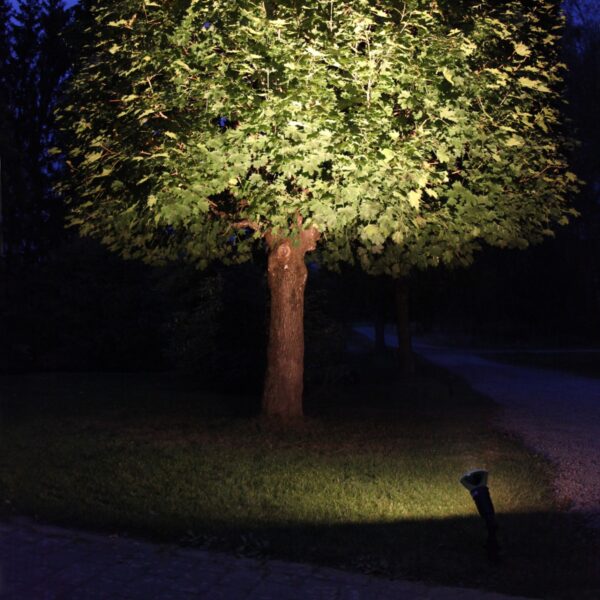 lempute E27 PAR38 spotlight sodo dekoracija 356-80 lempute E27 PAR38 spotlight sodo dekoracija 356-80