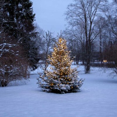 Virtene eglītei CHRISTMAS WARM WHITE 360LED